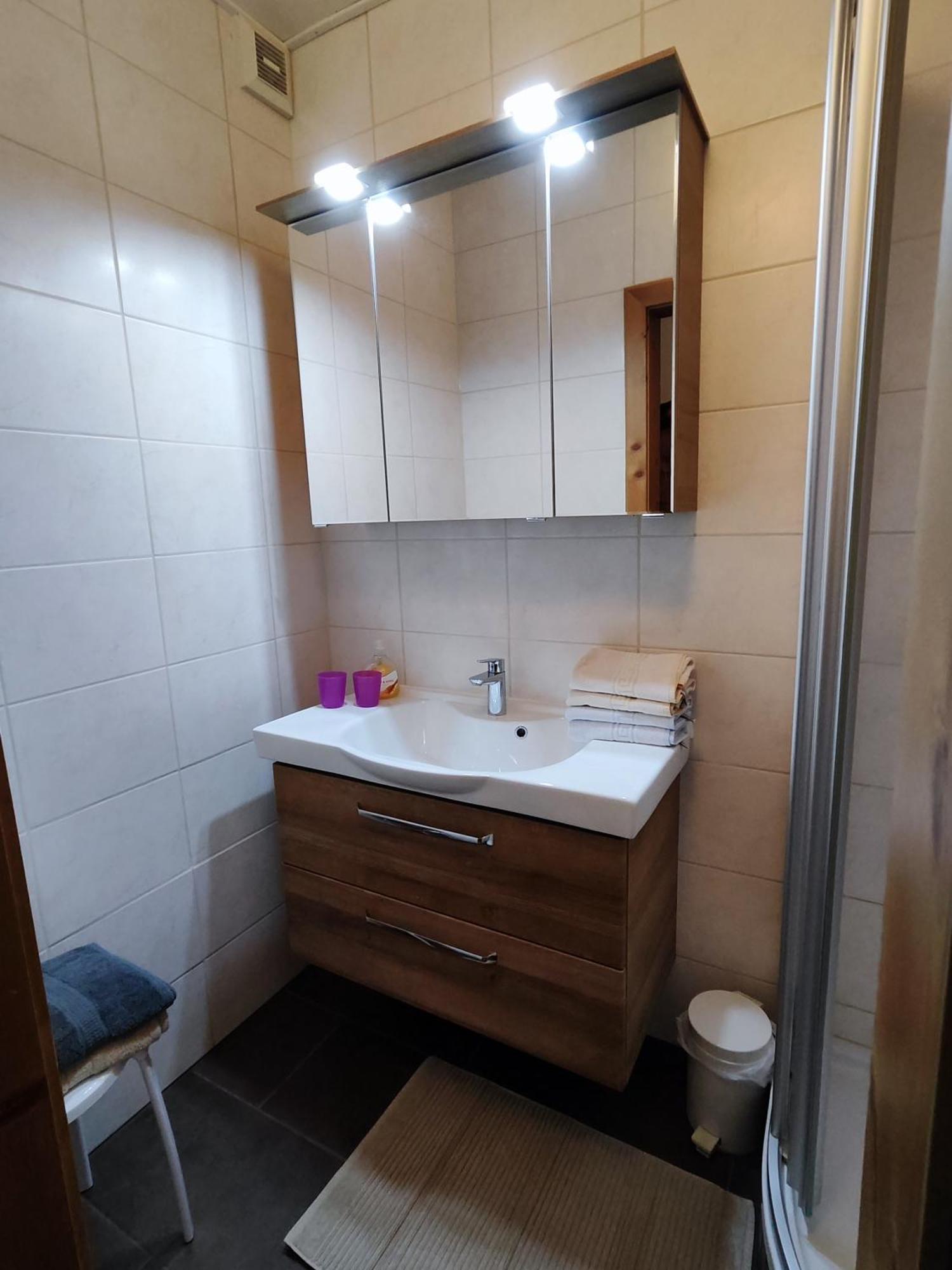 Apartmenthaus Bader Leutasch Dış mekan fotoğraf